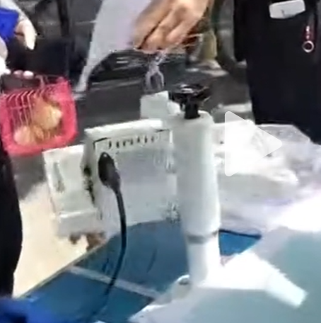 QQ_1788952245485.png