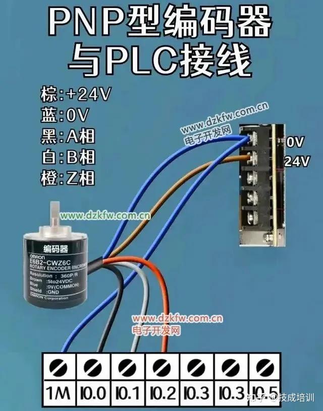 10.jpg 10.jpg